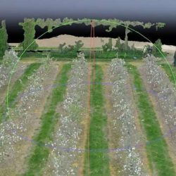 The Role of Artificial Intelligence in Precision Harvesting